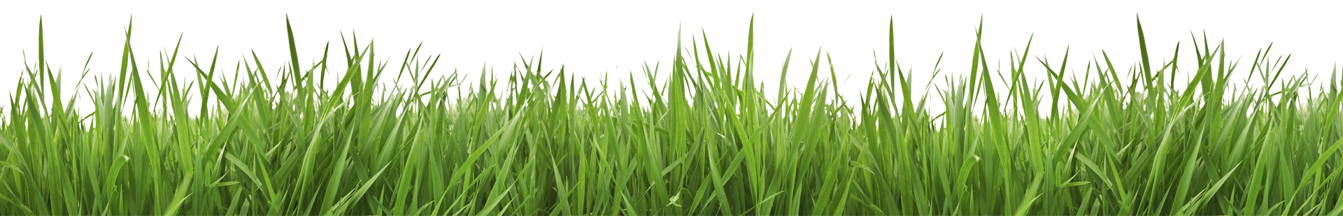 C&C Custom Lawncare, Inc